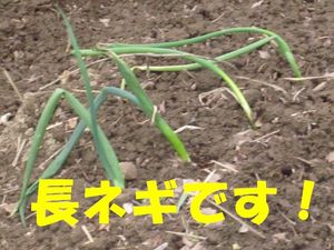 IMG_0765.JPG