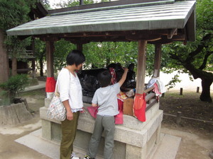 IMG_1175.JPG