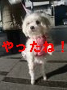 000303_li.jpg