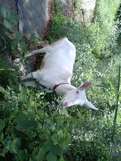 080730_0908~0002.jpg